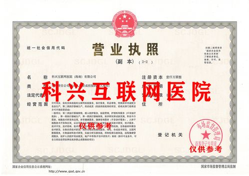 政策驅動與技術賦能 海南互聯(lián)網(wǎng)醫(yī)院的廣闊前景